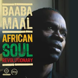 African soul revolutionary